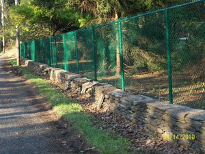 Chain Link Fence, a Chain Link from All Type Fence: All_Green_Vinyl_CL_System_2