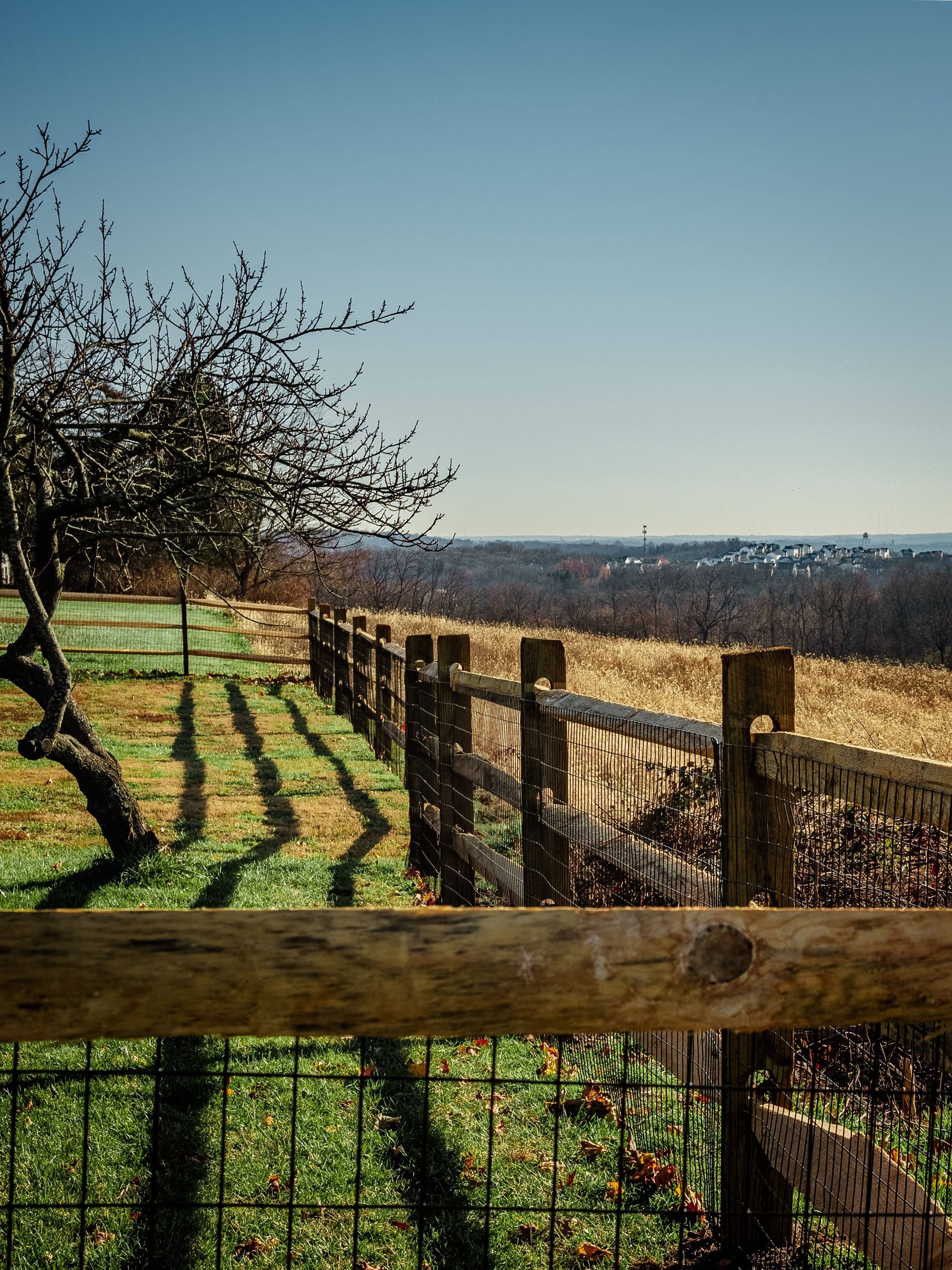Split rail fence with horizon