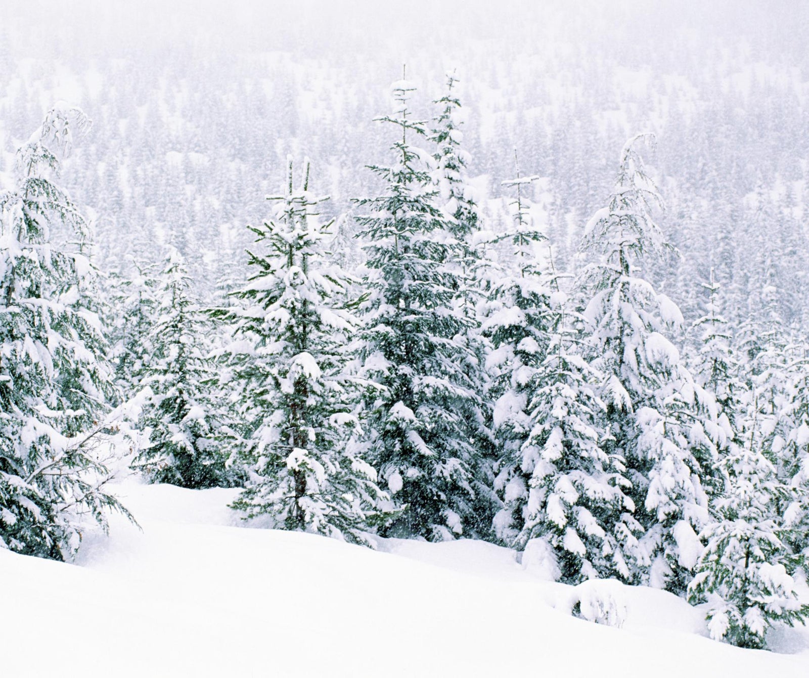 Winter Fence Preparations - Fences by All Type Fence