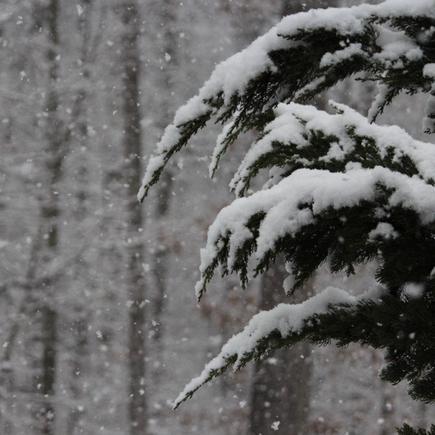 Prepping Your Fence for Winter - Fences by All Type Fence