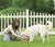Protect Your Children and Your Pets - Fences by All Type Fence