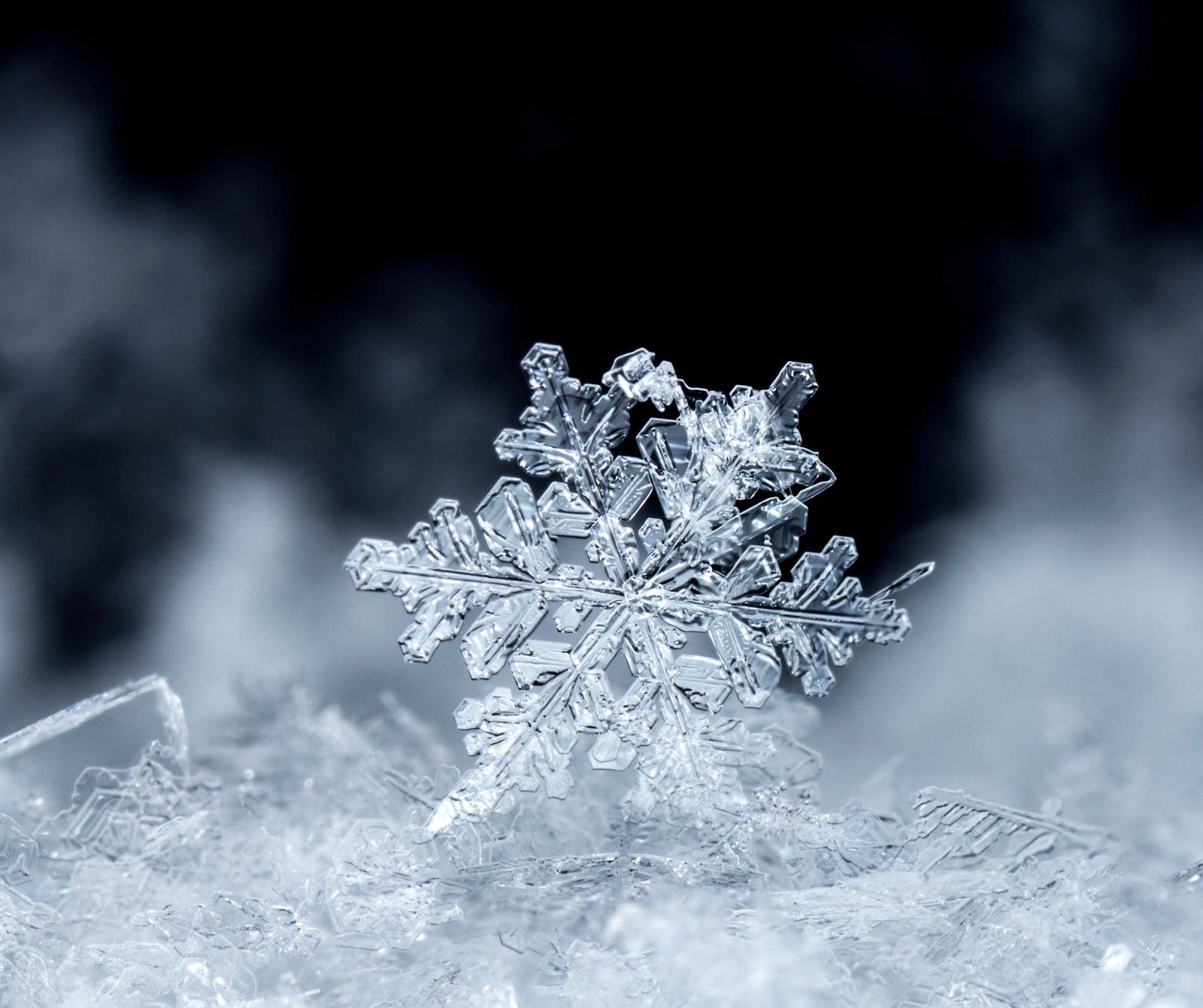 Year-Round Installation - Fences by All Type Fence