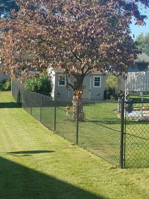 Chain Link Fence, a Chain Link from All Type Fence: 20171017_154411