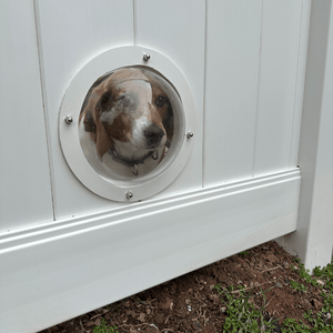 dog looking thru pet portal